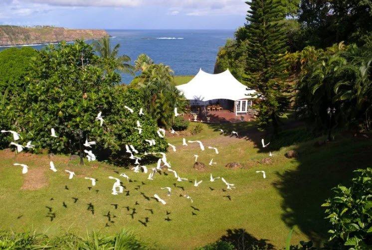 Spirit Of Aloha Oceanfront Botanical Gardens, United States
